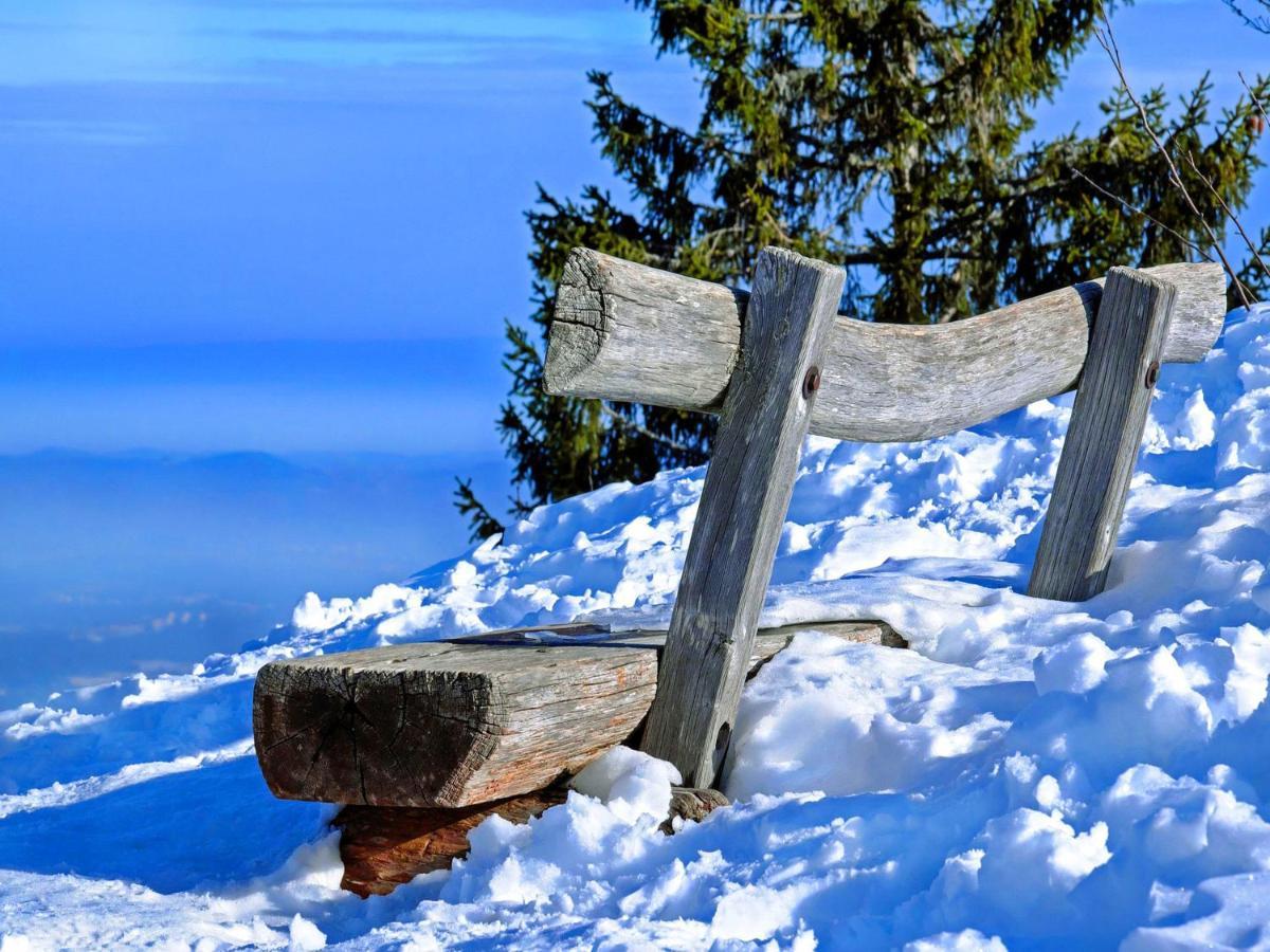 Vesterberg Apartments In Top Lage - Top Lage Schladming Εξωτερικό φωτογραφία