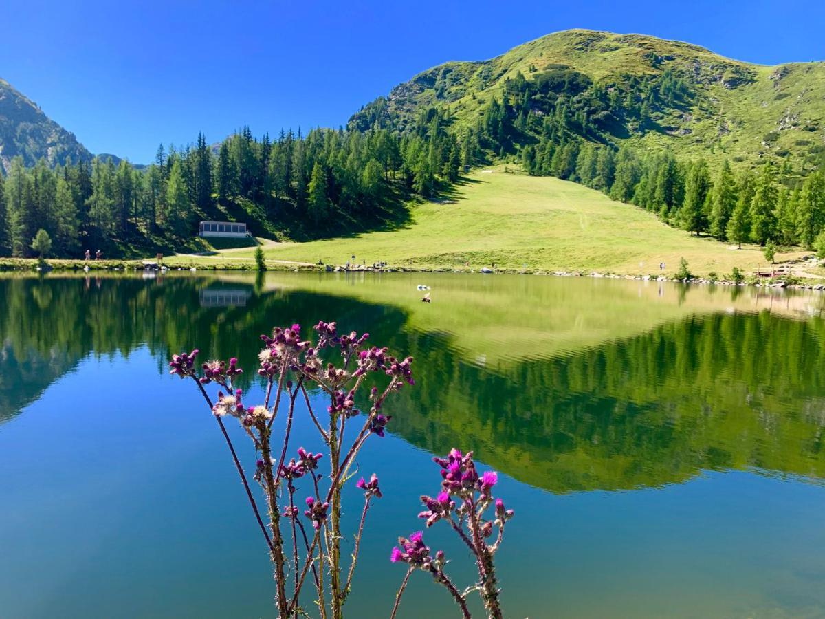 Vesterberg Apartments In Top Lage - Top Lage Schladming Εξωτερικό φωτογραφία